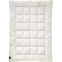 Billerbeck Winterbettdecke Alcando 135 x 200 cm Baumwolle Weiß