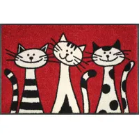 Wash+Dry Wash & Dry Fußmatte Three Cats 50 x