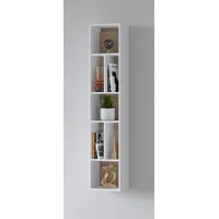 INOSIGN Wandregal »Toledo,Höhe 159 cm stilvolle Bücherregal, viel Stauraum«,