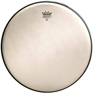 Remo Ambassador Renaissance 14" (RA-0014-SS)