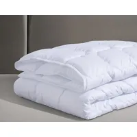 Fan »Kansas, Bettdecken für Sommer und Winter, Decke« leicht