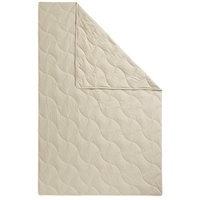 Fan Naturfaserbettdecke »TENCELTM Leinen«, leicht, Füllung 50% Lyocell (TENCELTM),