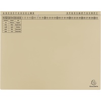 Exacompta Exaflex Standard Hängehefter Amtsheftung / kaufmännische Heftung A4