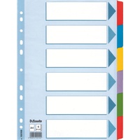Esselte Karton-Register Mylar verschiedene Ausführungen, einzeln
