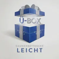 Excellent Daunenbettdecke EXCELLENT "Überraschungsbox", bunt, B:200cm L:220cm, Bezug: 100%