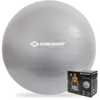 Donic Schildkröt GYMNASTIKBALL 65cm, (silver)