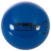Togu Gymnastikball Standard 0,3 kg