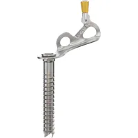 Black Diamond Express Ice Screw Eisschraube (Größe 13CM, silber)