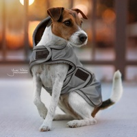 Kentucky Dogwear Hundemantel Reflective & Water Repellent Silber XS