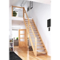 DOLLE Paris gerade Buche versiegelt inkl. Geländer