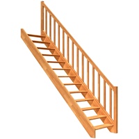 DOLLE Raumspartreppe Paris gerade Buche versiegelt inkl. Geländer