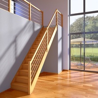 DOLLE Raumspartreppe Paris gerade Buche versiegelt inkl. Geländer