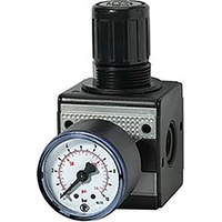 Riegler Druckregler »multifix«, inkl. Manometer, BG 1, G 3/8,