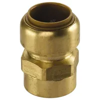 Seppelfricke Kupfer Steckfitting Tectite Übergang Innengewinde 22 mm -