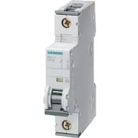Siemens 5SY4160-7