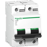 Schneider Electric A9N18415 Leitungsschutzschalter 125A, 250 V/DC