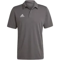 Adidas Entrada 22 Poloshirt grau