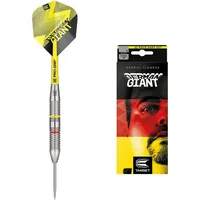Target Darts Gabriel Clemens 22G Brass Dartpfeile Steeldarts-Set -