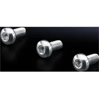Rittal SZ 2489.500 Schraube (500 Schrauben pro Stück)