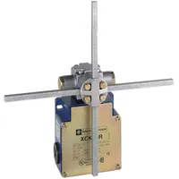 Schneider Electric XCKMR54D1H29