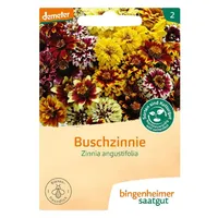 Bingenheimer Saatgut Buschzinnie