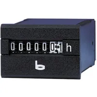 BAUSER 250.2/942-001-1-1-001 Kleinst-Betriebsstundenzähler - 250.2