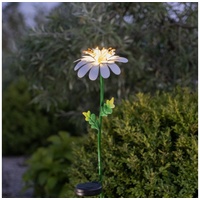 Star Trading LED-Solarleuchte Daisy in Gänseblümchenform