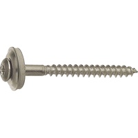 Dresselhaus Spenglerschraube A2 Spengler Schrauben; Torx Antrieb TX20