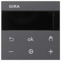 Gira 539428