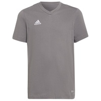 Adidas Entrada 22 grau 128