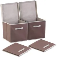 Pearl 2er-Set Aufbewahrungsboxen mit Deckel, faltbar, 31x31x31 cm, braun