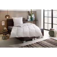 Älgdröm Daunenbettdecke ÄLGDRÖM "Lasse, Bettdecke 135x200 cm, 155x220 cm