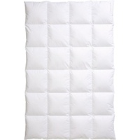 Centa-Star Daunenbettdecke »Nordic«, warm, Füllung 90% Daunen, 10% Federn,
