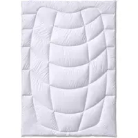 Kauffmann Kamelhaar medium -