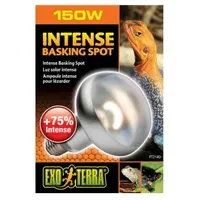 Exo Terra Intense Basking Spot 150 W