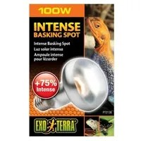 Exo Terra Intense Basking Spot 100 w