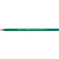 BIC ECOlutions EVOLUTION 650 Bleistifte HB grün, 12 St.