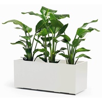 Euro3Plast Greener Kebe Pflanzkasten 100x40cm weiß