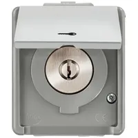 Siemens 5TA7651 DELTA fläche IP44 AP Jalousie-Schlüsselschalter mit Klappdeckel