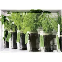 KESPER Serviertablett Herbs