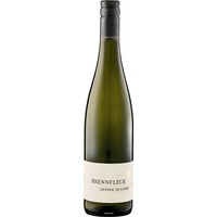Weingut Brennfleck Grüner Silvaner QbA trocken trocken (1 x