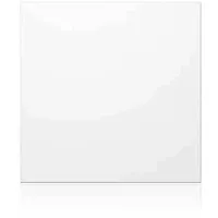 Ritto Portier Blindmodul ws 95x95x33mm 1876670