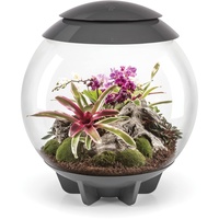 BiOrb AIR 60 grau