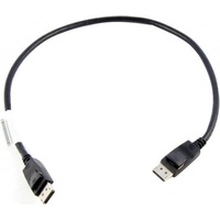 Lenovo DisplayPort m