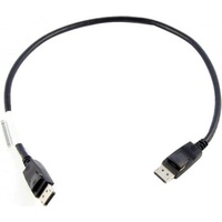 Lenovo 0.5m DisplayPort m Schwarz