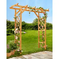 Promadino Pergola Ben, BxTxH: 200x65x208 cm