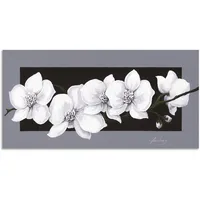 ARTland Wandbild »Weiße Orchideen auf grau«, Blumen, (1 St.),