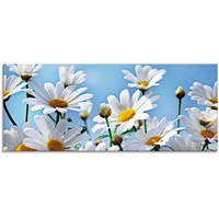 Artland Glasbild »Blumen - Margeriten«, Blumen, (1 St.), in