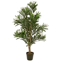 Europalms Oleanderbaum, weiß, 120 cm