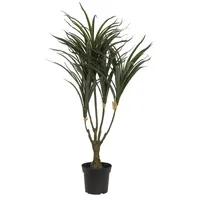 Europalms Dracena, grün-rot, 90cm